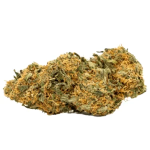 Afghan Kush Weed Strain