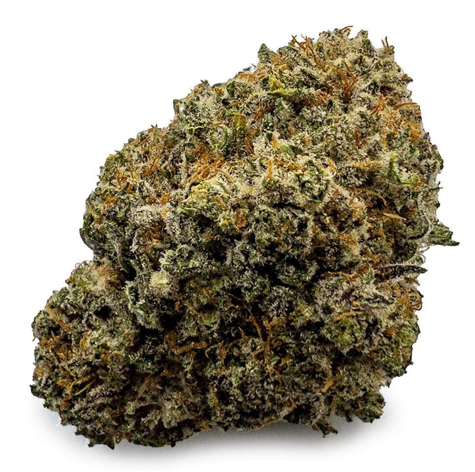 Astro Cookies Weed Strain