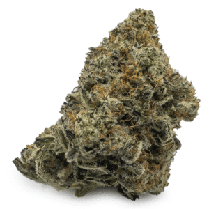 Biscotti Marijuana Strain