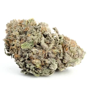 Blackwater Cannabis Strain