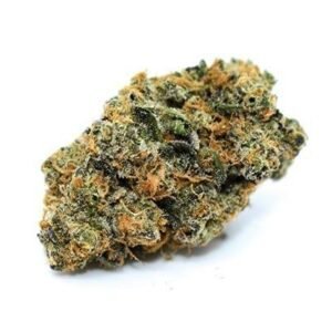 Blue J Marijuana Strain