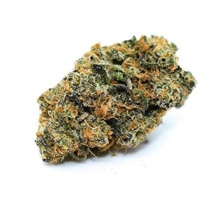 Blue J Marijuana Strain