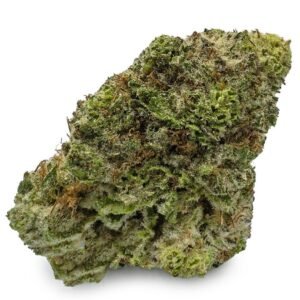 Buy Tropicana Cookies Strain