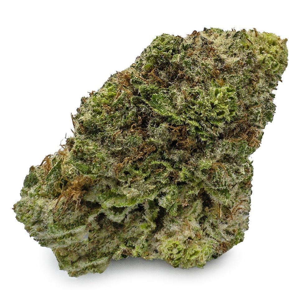 Buy Tropicana Cookies Strain