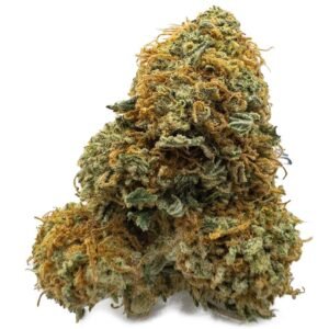 Gelato Runtz Weed Strain