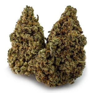 Gummy Bears Weed Strain