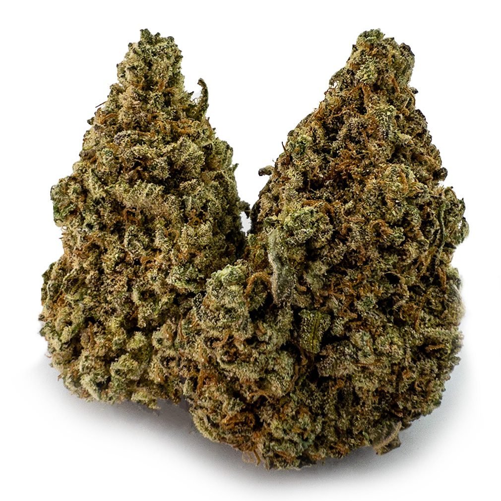 Gummy Bears Weed Strain
