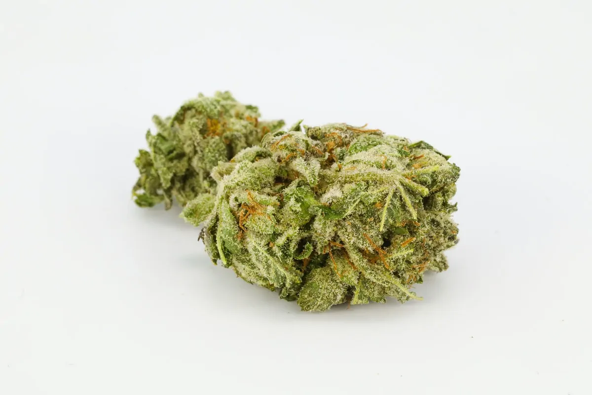 Hindu Kush Weed Strain