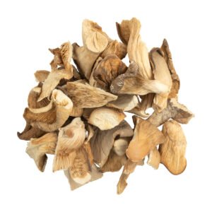 OYSTER DRIED MUSHROOM UK