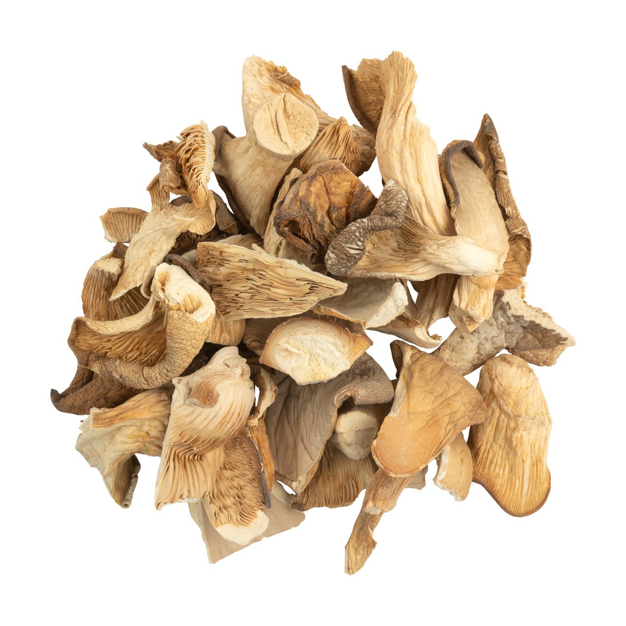 OYSTER DRIED MUSHROOM UK