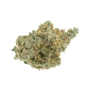 Master Kush Weed Strain