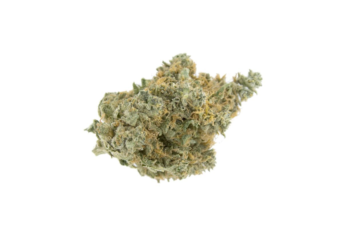 Master Kush Weed Strain
