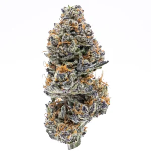 Northern Lights Weed Strain