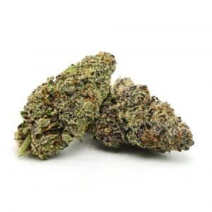 Purple Alien Kush Marijuana Strain