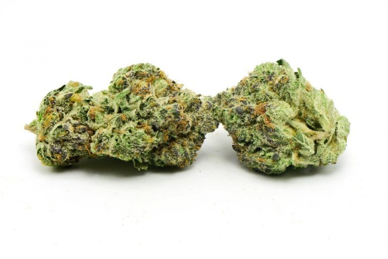 Rockstar Punch Hybrid Marijuana