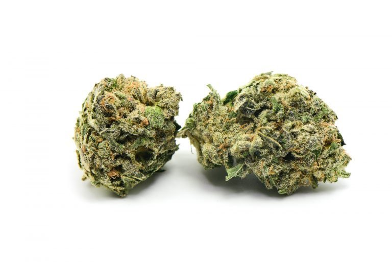 Tom Ford Pink Kush Marijuana Strain