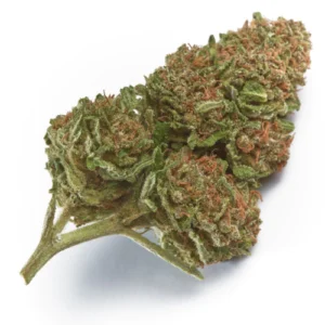 Wabanaki Weed Strain