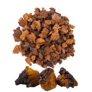 CHAGA DRIED MUSHROOM ONLINE UK