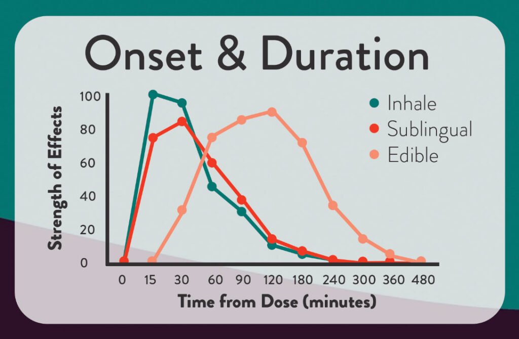  Learn how long THC gummies take to kick in, what affects onset time, how long the effects last, and how to use edibles safely. How Long Do THC Gummies Take to Kick In