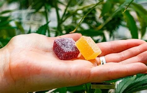 Learn how long THC gummies take to kick in, what affects onset time, how long the effects last, and how to use edibles safely. Full beginner-friendly guide.
